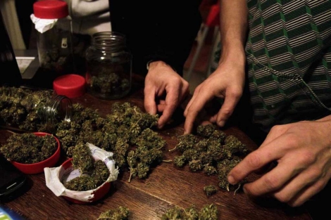 marihuana_autoproducida.jpg