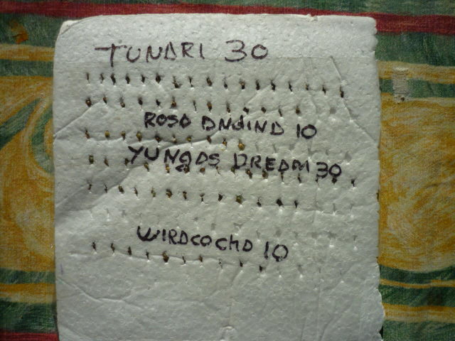 010.JPG