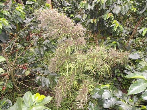 DSCF1234.JPG