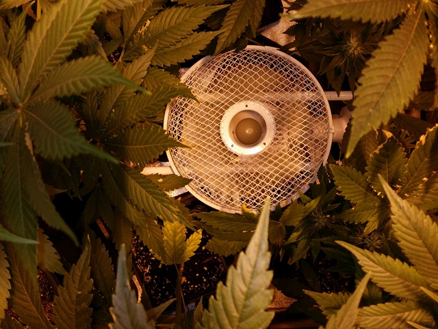20140111_024009 [640x480].jpg