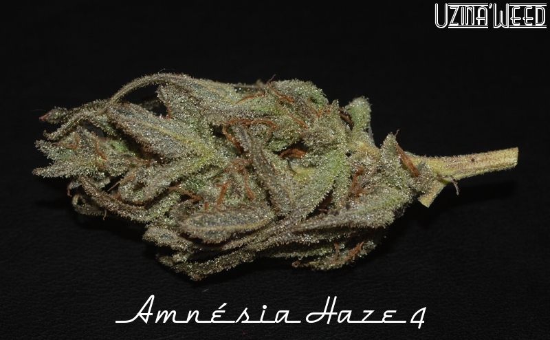 ah4_bud-dry_uzina.jpg