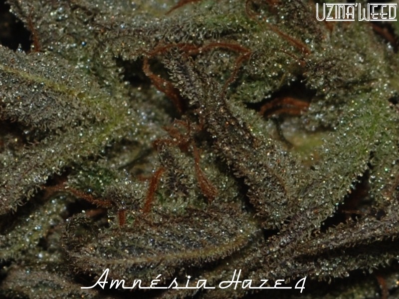 ah4_bud-dry2_uzina-256.jpg