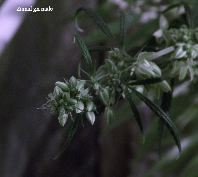 DSCF5120.JPG