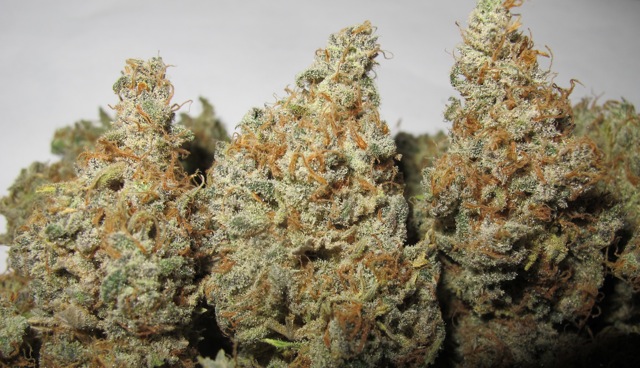 UltraGrapefruit-dry-1.jpg