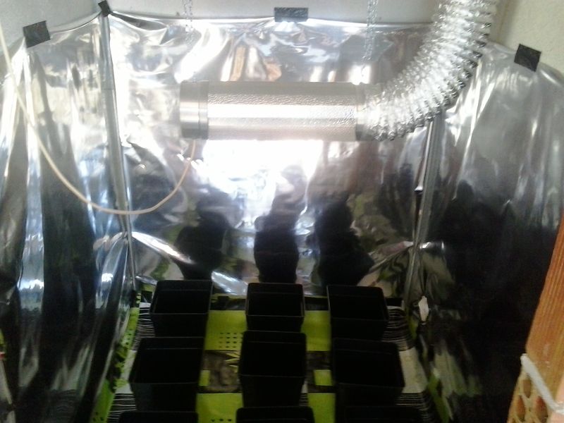 20140407_162221.jpg
