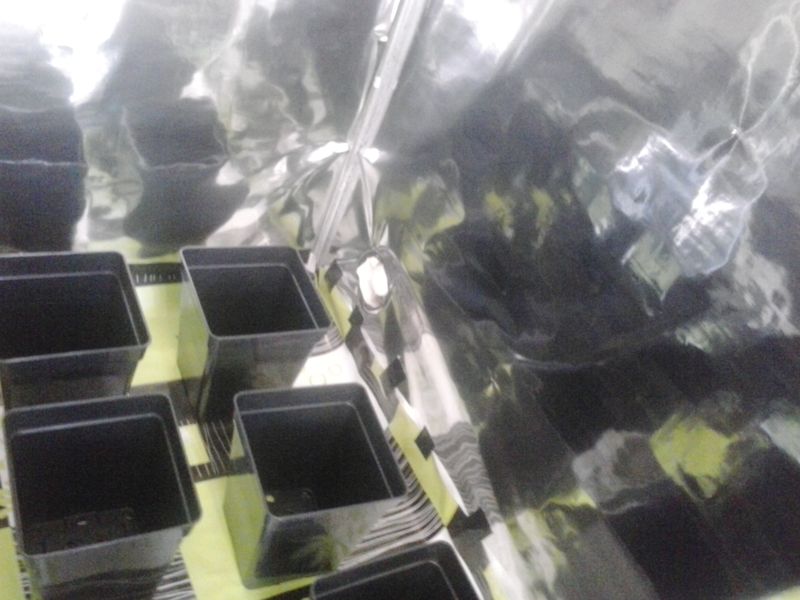 20140407_162227.jpg