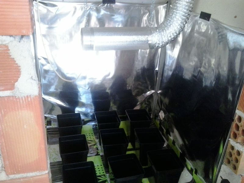 20140407_162213.jpg