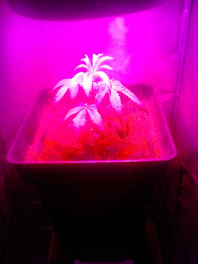 20140512_212306.jpg